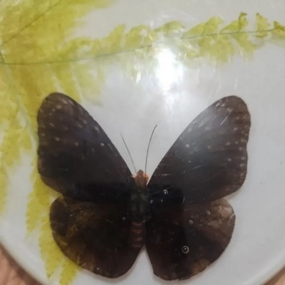 Vintage Lucite Acrylic Spoon Rest W/ trivet set Butterflies wildflowers MCM boho
